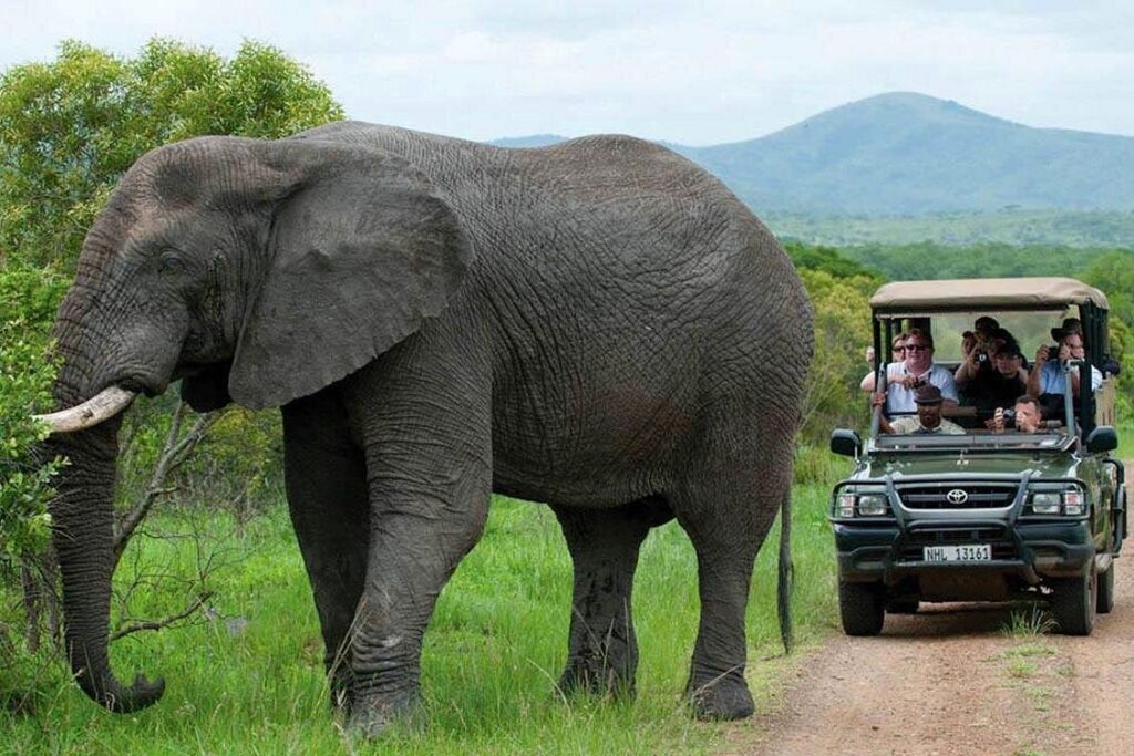 All Inclusive 3 Day Kruger Safari Adventure From Johannesburg10